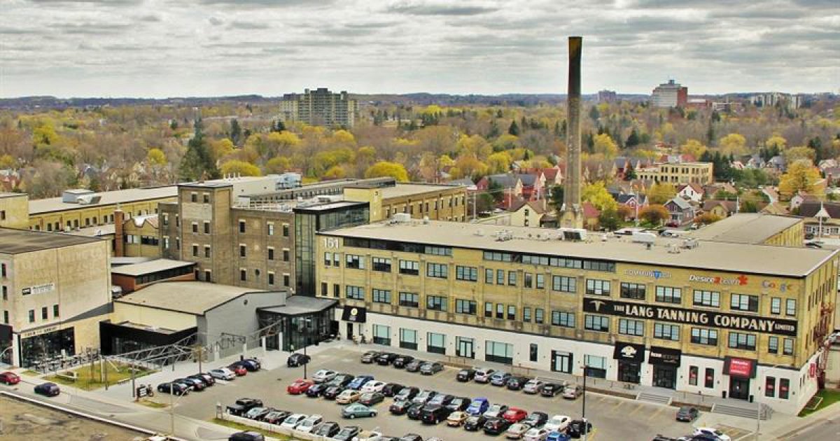 Digital Realm SEO services in Kitchener-Waterloo area